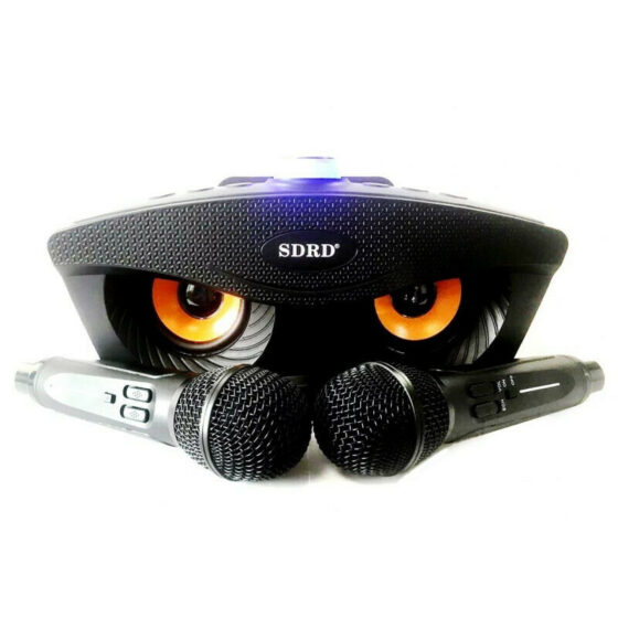 Σύστημα Karaoke με Ασύρματα Μικρόφωνα SD-306 σε Μαύρο Χρώμα - Image 2