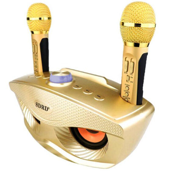 Σύστημα Karaoke με Ασύρματα Μικρόφωνα SD-306 σε Χρυσό Χρώμα - Image 2