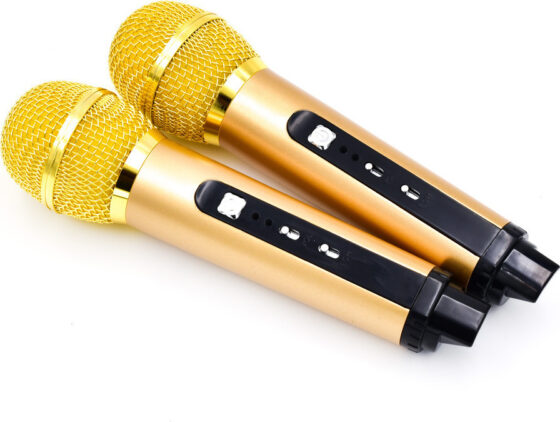 Σύστημα Karaoke με Ασύρματα Μικρόφωνα SDRD 305 σε Μαύρο Χρώμα - Image 3