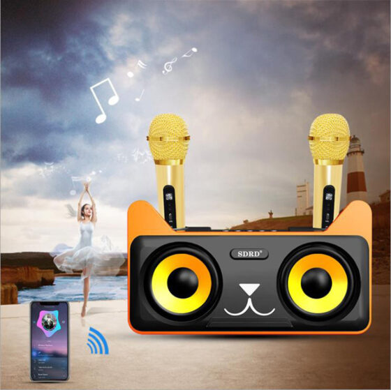 Σύστημα Karaoke με Ασύρματα Μικρόφωνα SDRD 305 σε Μαύρο Χρώμα - Image 2