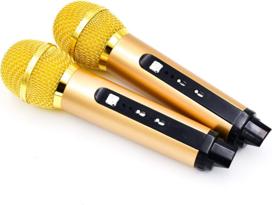 Σύστημα Karaoke με Ασύρματα Μικρόφωνα SDRD 305 σε Χρυσό Χρώμα - Image 4