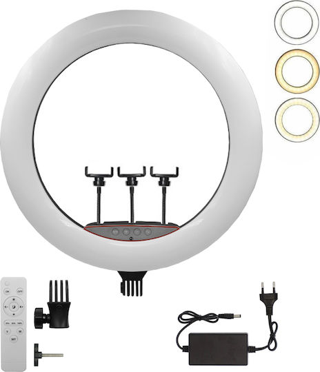 Rolinger Ring Light LJJ-45 RL-1006 45cm με Βάση για Κινητό