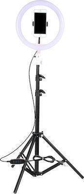 Ring Light ZMX-260 26cm με Βάση για Κινητό